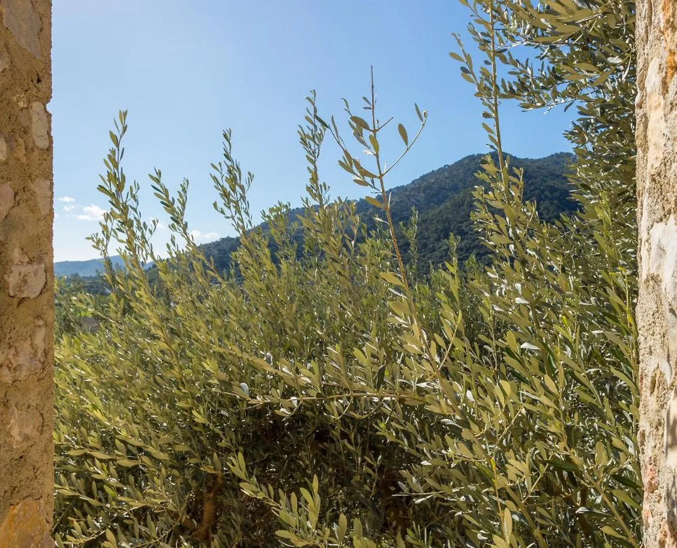 Finca Es Castell Hotel Binibona