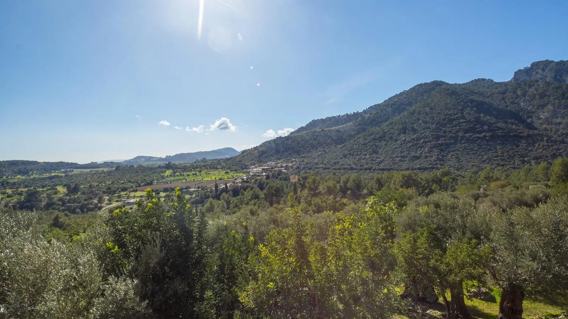 Finca Es Castell Hotel Binibona