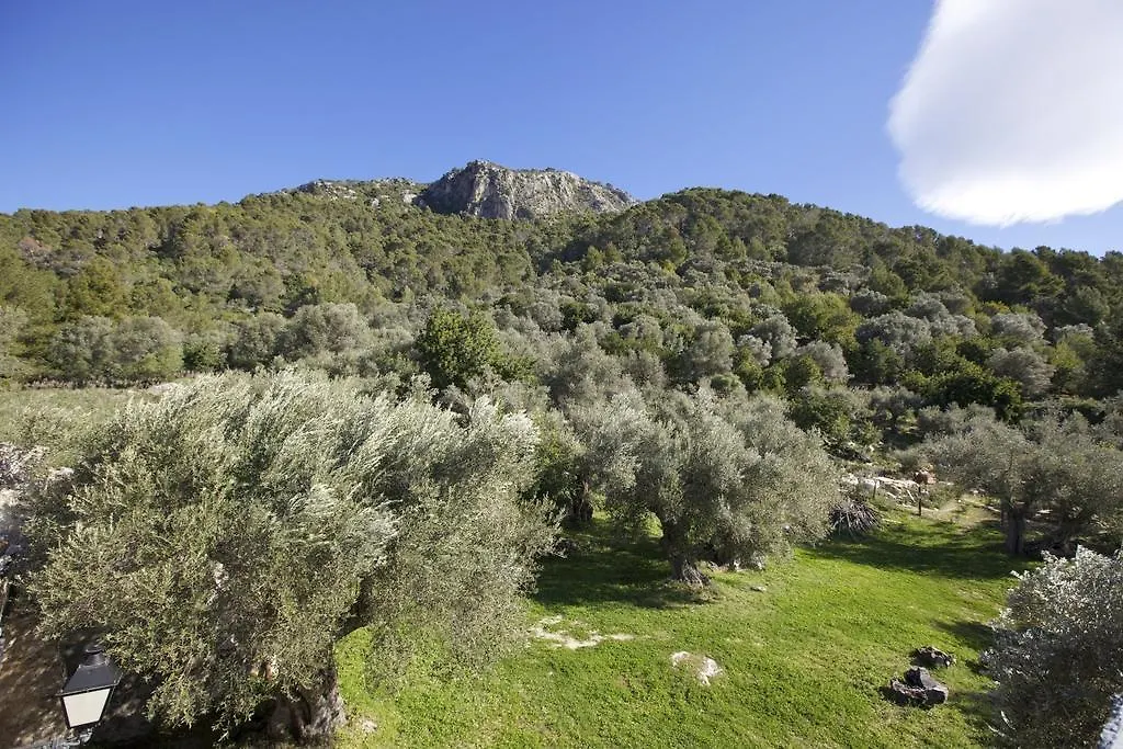 Finca Es Castell