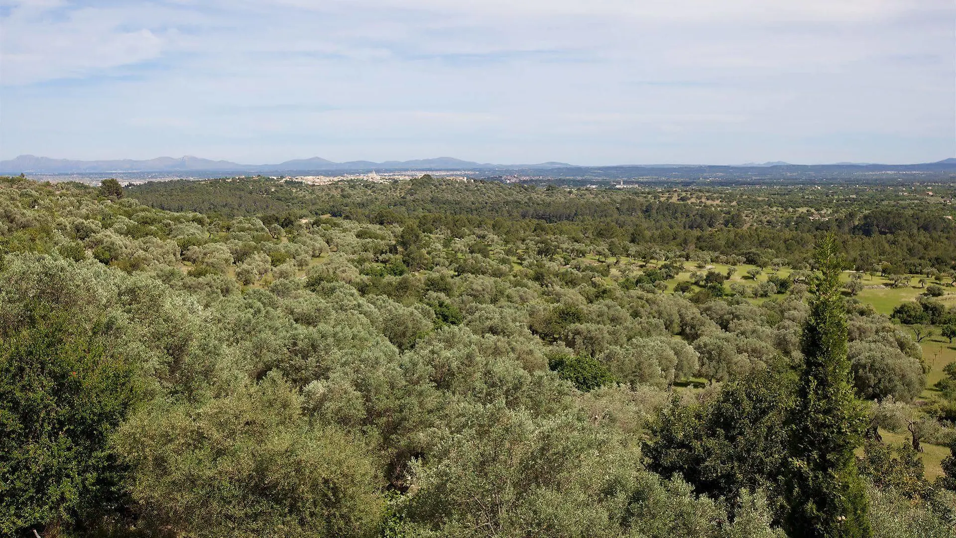 Finca Es Castell Hotel Binibona